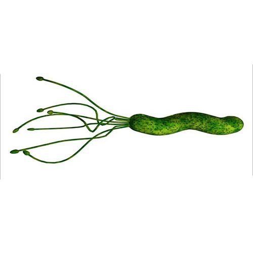 Tratamiento erradicador de Helicobacter pylori