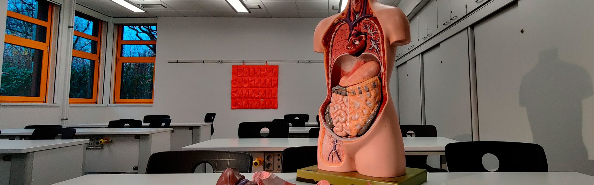 Consulta del aparato digestivo en Toledo