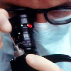 Endoscopia digestiva en Toledo